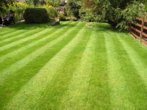 Beautiful green lawn ready and set up